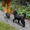 09 b Schluchensteig Etappe 4 - 6